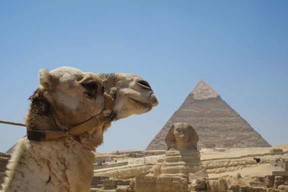 Camel, Sphinx and Pyramid at Giza, Egypt