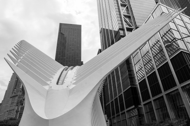 Architecture Oculus Wings NYC
